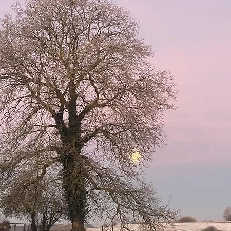 Hébergement de vacances L' Instant D' Nuit