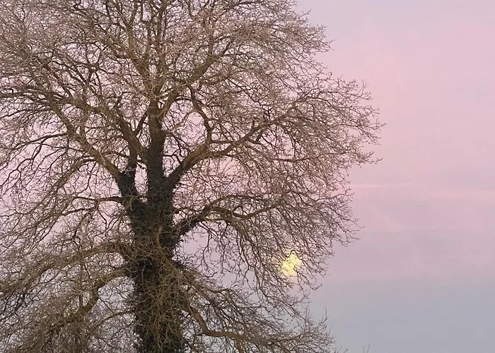 Hébergement de vacances L' Instant D' Nuit