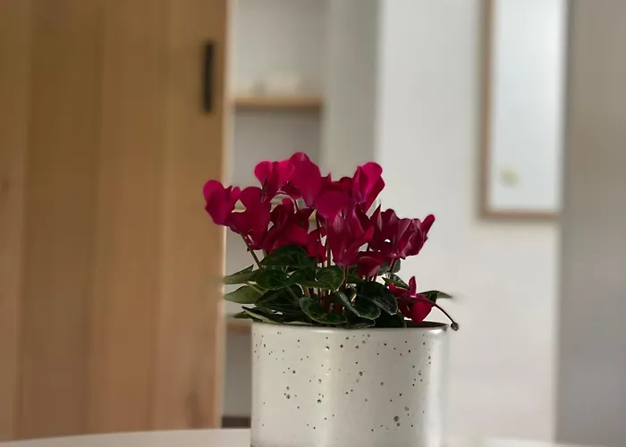 Hébergement de vacances L' Instant D' Nuit